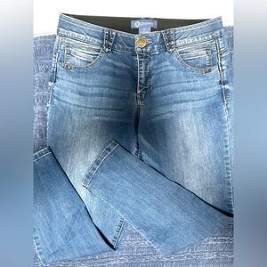 Democracy Absolution Skinny Jeans